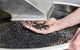 UBQ Materials has developed a technology that takes unsorted household waste -- from banana peels to dirty diapers to used yogurt containers and cardboard -- and converts it into a bio-based thermoplastic -- a plastic substitute (Courtesy)