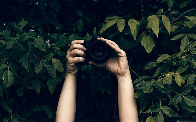 A creep taking pictures from behind bushes. (MarinaZg/Istock by Getty Images) A creep taking pictures from behind bushes. (MarinaZg/Istock by Getty Images)