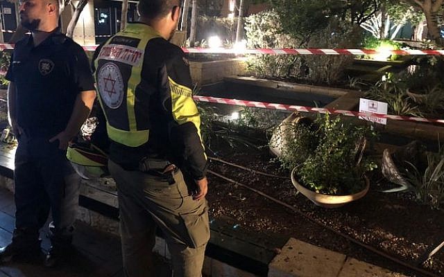 The ornamental pond where a group of young men were electrocuted in Tel Aviv, September 20, 2019 (Issachar Weiss/Magen David Adom) The ornamental pond where a group of young men were electrocuted in Tel Aviv, September 20, 2019 (Issachar Weiss/Magen David Adom)