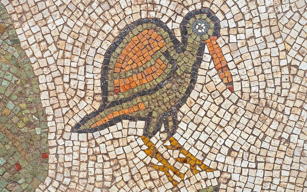 Mosaics exposed from the floor of the Byzantine-era church in Ramat Beit Shemesh, October 2019. (Asaf Peretz, Israel Antiquities Authority)