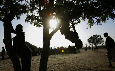 Children play on trees in the Kaudwane settlement outside the Kalahari Game Reserve, November 19, 2005 (AP Photo/Jerome Delay)