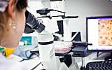 A researcher working in the lab of Kadimastem in Ness Ziona (Hagit Stavinsky)