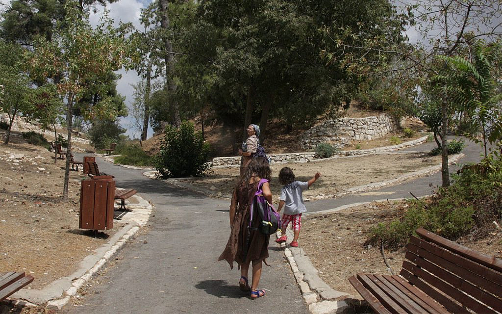 Citadel Park in Safed is on the site of a Crusader fortress which was taken by a Mameluke army in 1266. (Shmuel Bar-Am)