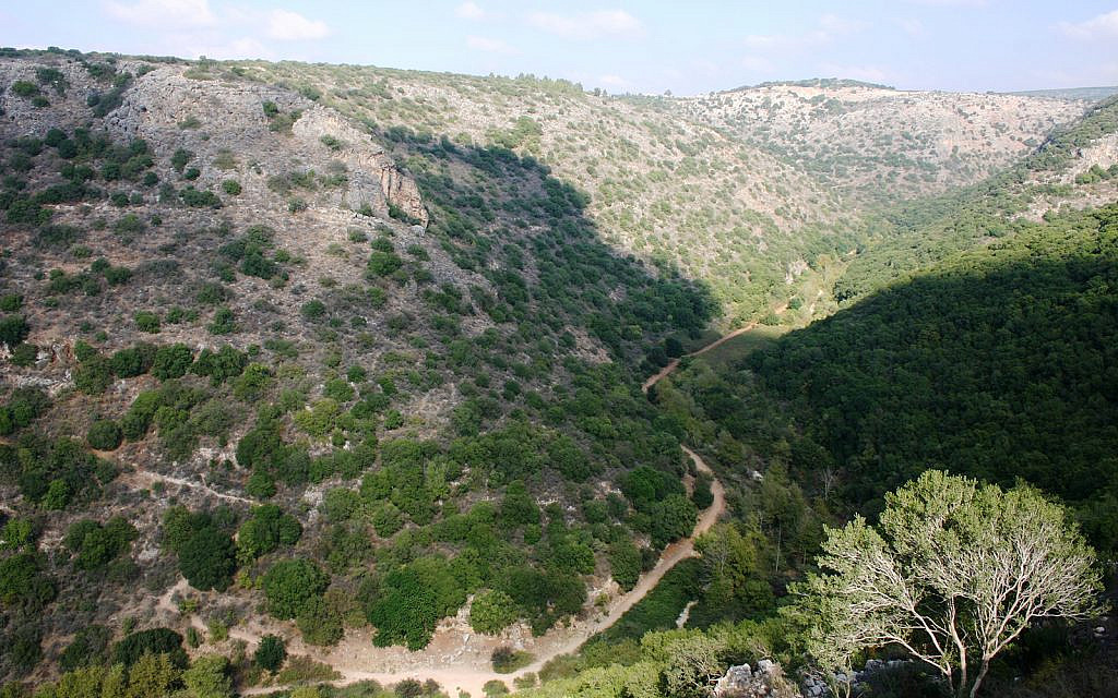 The view from the Montfort stronghold in northern Israel. (Shmuel Bar-Am)