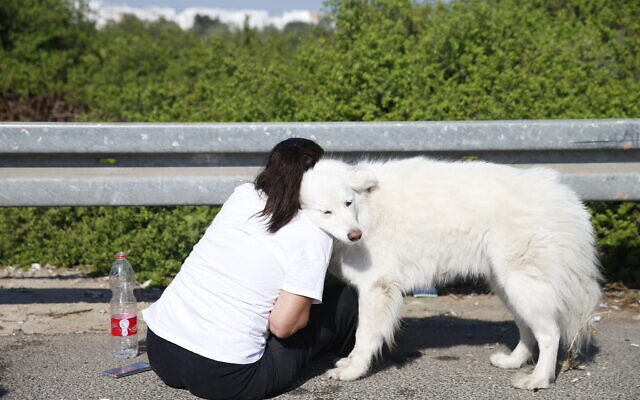 A woman hugs her dog moments after a rocket fired by Palestinians terrorists in the Gaza Strip hit a main highway between near Ashdod, Israel, November 12, 2019. (Ariel Schalit/AP)
