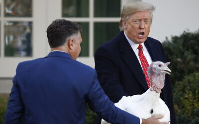 US President Donald Trump pardons Butter, the national Thanksgiving turkey, in the Rose Garden of the White House, November 26, 2019, in Washington. (AP Photo/Patrick Semansky)