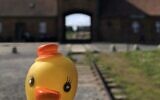 A photo of a rubber duck outside the Auschwitz death camp posted by a blogger on November 6, 2019. (Auschwitz Memorial via Twitter via JTA)