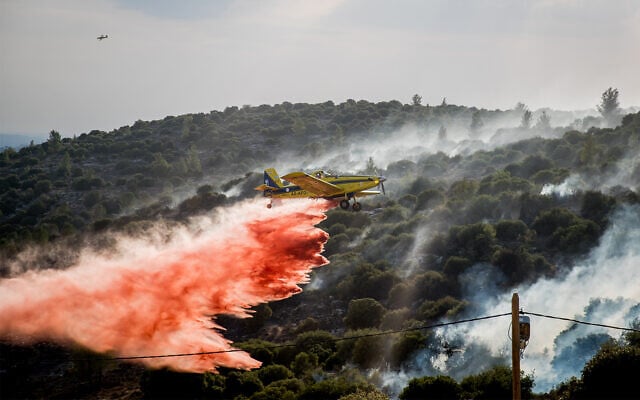 A firefighting plane tries to extinguish a blaze near the town of Tzur Hadassah, outside Jerusalem, November 10, 2019. (Yonatan Sindel/Flash90)