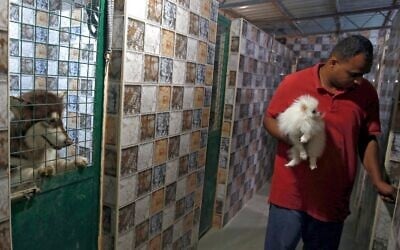 royal jordanian pets