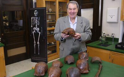 Professor Russell Ciochon holds a cast of a Homo erectus skull at his lab in Iowa City, 2019. (Tim Schoon/University of Iowa via AP)