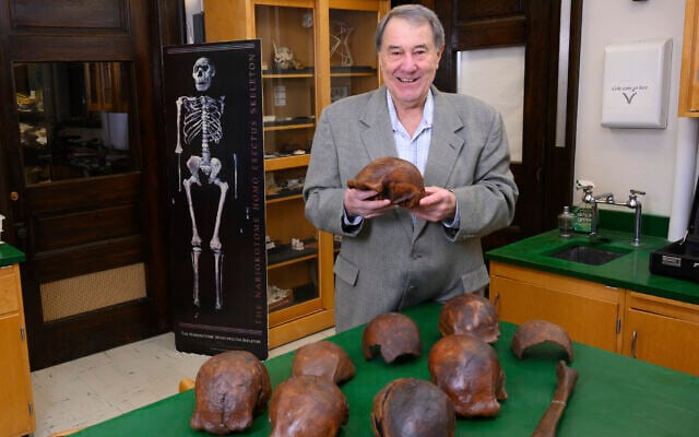 Professor Russell Ciochon holds a cast of a Homo erectus skull at his lab in Iowa City, 2019. (Tim Schoon/University of Iowa via AP) Professor Russell Ciochon holds a cast of a Homo erectus skull at his lab in Iowa City, 2019. (Tim Schoon/University of Iowa via AP)
