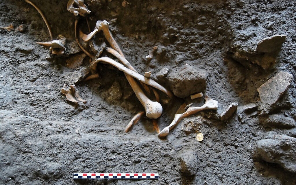 Illustrative: An undated picture made available by the Pompeii Archeological site Press Office, bones recently discovered in Pompeii, near Naples, Italy. Italian and French archaeologist team, digging in the outskirts of Pompeii, have discovered four skeletons and gold coins in the ruins of an ancient shop. Pompeii archaeological site officials said Friday, June 24, 2016, the skeletons are those of young people, including an adolescent girl, who perished in the back of the shop when Mount Vesuvius erupted in 79. (Pompeii Archeological Site Press Office via AP)