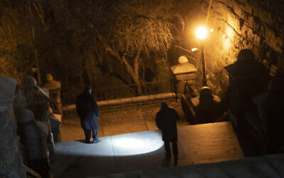 New York City police department detectives use a flashlight to look for evidence in Morningside Park, December 12, 2019, in the Upper West Side of Manhattan. (AP Photo/Mary Altaffer)