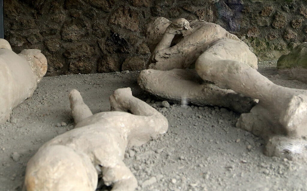 In this May 14, 2014 photo, plaster casts showing victims as they were overcome by the heat and toxic gases of the volcanic eruption of Mount Vesuvius, which in A.D. 79 destroyed the ancient town of Pompeii, near modern-day Naples, Italy. The victims were found in an orchard that came to be known as the Garden of the Fugitives, a reference to the doomed locals attempts to flee disaster. An estimated 2.5 million people visit the ruins each year. (AP Photo/Michelle Locke)