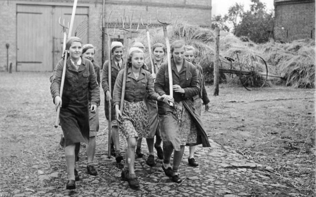 Labor on Nazi-era hereditary farms was performed by members of the Hitler-Jugend (Hitler Youth), the Bund Deutscher Madel (League of German Girls), and the Reichsarbeitsdienst (Reich Labor Service), which conscripted young men and women during the war years. German youth were required to farm due to the need for settlers in new eastern territories. (Bundesarchiv Bild 183-E1068, Wikimedia Commons)