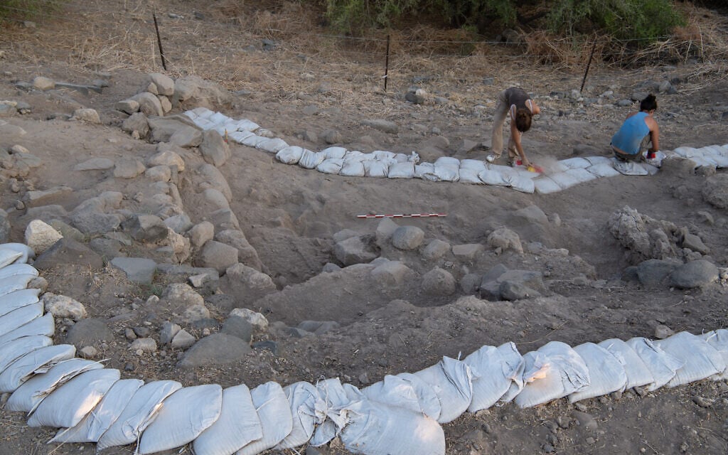 Ein Gev archeological excavations, 2018 (Leore Grosman)