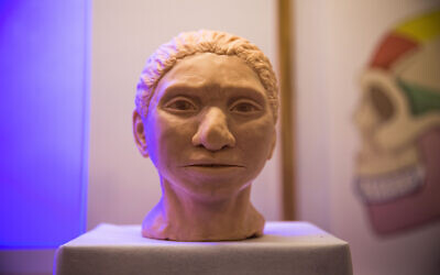 A reconstruction of what an ancient Denisovan female head may have looked like according to researchers from the Hebrew University, presented during a press conference at the Hebrew university on September 19, 2019. (Yonatan Sindel/Flash90)