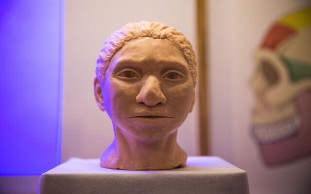 A reconstruction of what an ancient Denisovan female head may have looked like according to researchers from the Hebrew University, presented during a press conference at the Hebrew university on September 19, 2019. (Yonatan Sindel/Flash90) A reconstruction of what an ancient Denisovan female head may have looked like according to researchers from the Hebrew University, presented during a press conference at the Hebrew university on September 19, 2019. (Yonatan Sindel/Flash90)