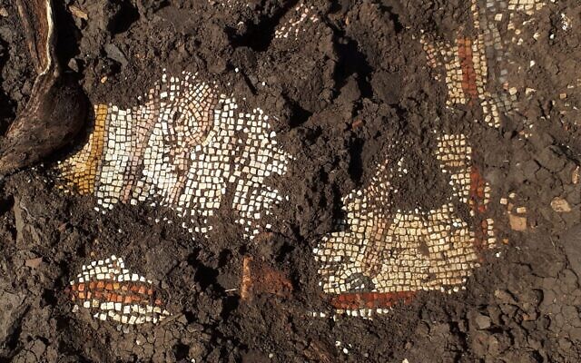 Remains of a 3rd century CE mosaic from a synagogue found in the ancient town of Majdulia, in the Golan. (courtesy) Remains of a 3rd century CE mosaic from a synagogue found in the ancient town of Majdulia, in the Golan. (courtesy)