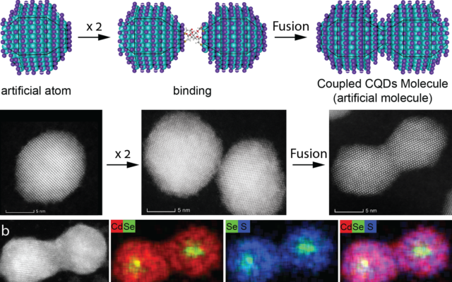 An illustration of the fusion of quantum dots to create new artificial molecule by scientists of the Hebrew University of Jerusalem (Meirav Oded and Somnath Koley) An illustration of the fusion of quantum dots to create new artificial molecule by scientists of the Hebrew University of Jerusalem (Meirav Oded and Somnath Koley)