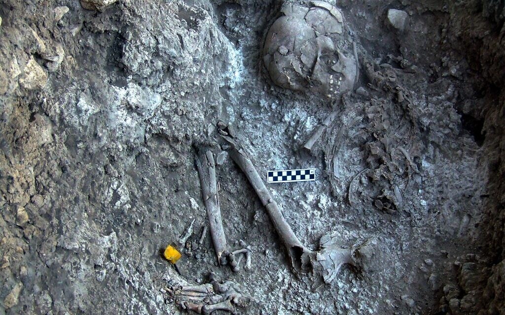 Illustrative: Close-up of a 12,000-year-old human burial embedded in the white material found in the Ein Gev cave. (courtesy)