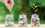 Illustrative. An image of growth and growing a business. (Indysystem; iStock by Getty Images)