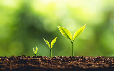 Illustrative image of growth, economic growth (ArtRachen01; iStock by Getty Images)