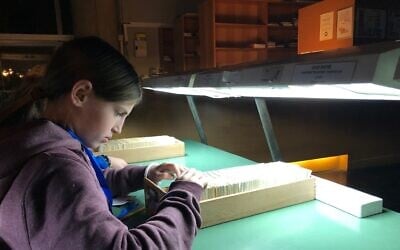 Michal Dan (10) discovers a missing clue in a card catalog at the National Library's Night in the Library Hanukkah program, December 23, 2019. (Amanda Borschel-Dan/Times of Israel)