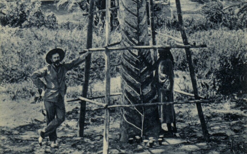 At the onset of World War II, rubber tree plantations in the Dutch East Indies such as the one in this pre-1925 photo produced 90 percent of the global latex supply. The trees are native to South America, but were cultivated in areas of southwestern Asia that fell under Japanese control during World War II. By early 1942, Japan controlled over 90 percent of the global supply of latex. (C.J. Kleingrothe/ public domain)