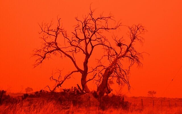 The sky turns red from smoke of the Snowy Valley bushfire on the outskirts of Cooma on January 4, 2020 (SAEED KHAN / AFP)