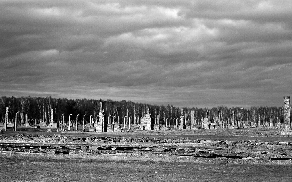 The remains of brick stone chimneys of prisoners barracks inside the former Nazi death camp of Auschwitz Birkenau or Auschwitz II. in Oswiecim, Poland, December 8, 2019. (Markus Schreiber/AP)