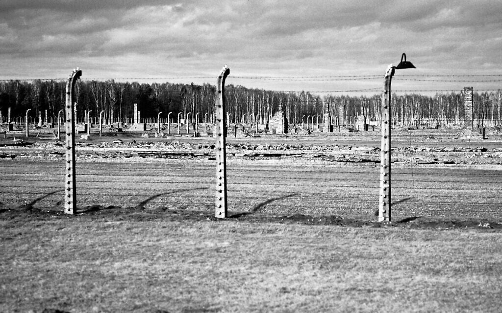 The remains of brick stone chimneys of prisoner barracks can be seen inside the former Nazi death camp of Auschwitz Birkenau or Auschwitz II. in Oswiecim, Poland, December 8, 2019. (Markus Schreiber/AP)