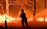 A firefighter in Australia hoses down trees to protect nearby homes from bush fires near the town of Nowra in the state of New South Wales on December 31, 2019 as the fires led to the evacuation of popular tourist areas in the state. (Saeed Kahn/AFP)
