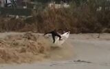 An Israeli man surfing during torrential storms that flooded large parts of the country. (Screenshot)