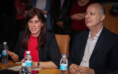 Tzipi Hotovely (L) and Tzachi Hanegbi (R) at a Foreign Affairs and Security Committee meeting at the Foreign Ministry in Jerusalem on July 21, 2015 (Hadas Parush/Flash90)