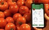 Clarifruit has created an automatic quality control and data analytics software for the fresh produce industry (Courtesy)