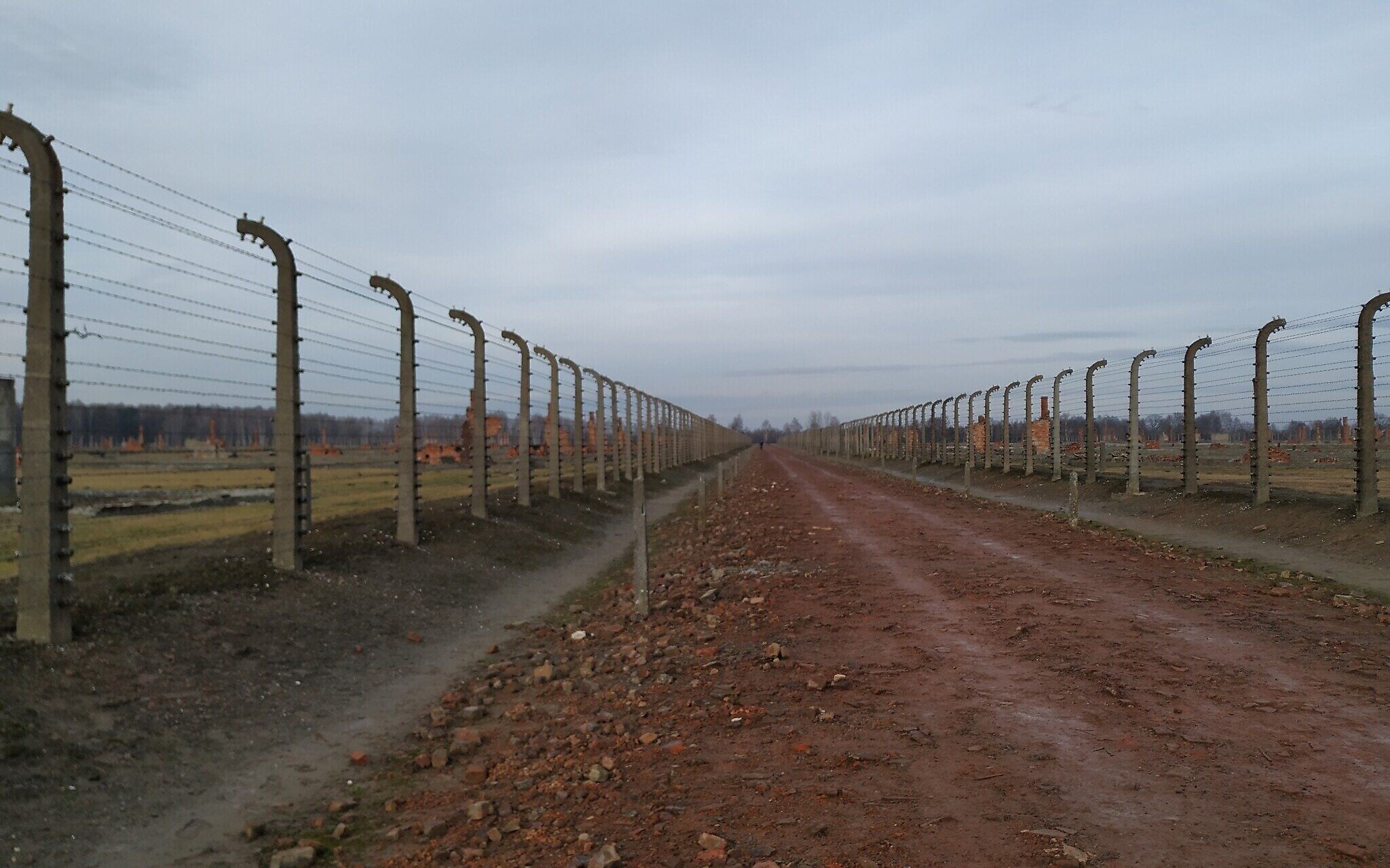 Row after row of destroyed barracks at the former Auschwitz II-Birkenau, January 28, 2020. (Yaakov Schwartz/ Times of Israel) Row after row of destroyed barracks at the former Auschwitz II-Birkenau, January 28, 2020. (Yaakov Schwartz/ Times of Israel)