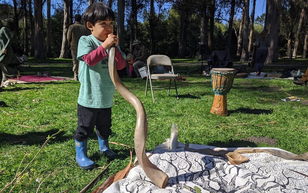 A child plays with a shofar in at a Tu B'Shvat event outside of San Francisco on February 9, 2020. (Melanie Lidman/Times of Israel)