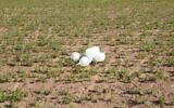 Suspected explosive device connected to a bunch of inflated latex gloves flown from Gaza, February 5, 2020 (Israel Police)