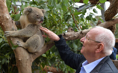 President Reuven Rivlin visits the wildlife hospital at Taronga Zoo in Sydney, February 23, 2020 (Kobi Gideon / GPO)