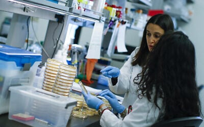 Illustrative: Researchers work in a lab that is developing testing for the COVID-19 coronavirus at Hackensack Meridian Health Center for Discovery and Innovation on February 28, 2020 in Nutley, New Jersey. (Keta Betancur/Getty Images North America/AFP)