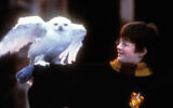 Daniel Radcliffe in the film adaptation of "Harry Potter and the Sorcerer's Stone." (Peter Mountain/WireImage via JTA)