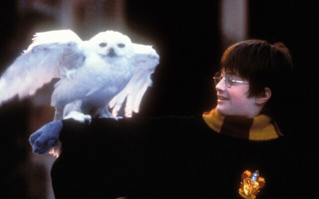 Daniel Radcliffe in the film adaptation of "Harry Potter and the Sorcerer's Stone." (Peter Mountain/WireImage via JTA) Daniel Radcliffe in the film adaptation of "Harry Potter and the Sorcerer's Stone." (Peter Mountain/WireImage via JTA)