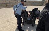 Former Likud MK Yehudah Glick is arrested on the Temple Mount in Jerusalem on February 18, 2020. (Courtesy)