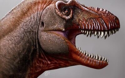 Illustrative: Artist rendering of a thanatotheristes degrootorum, a newly identified species of tyrannosaur (Julius Csotonyi/Royal Tyrrell Museum of Paleontology)