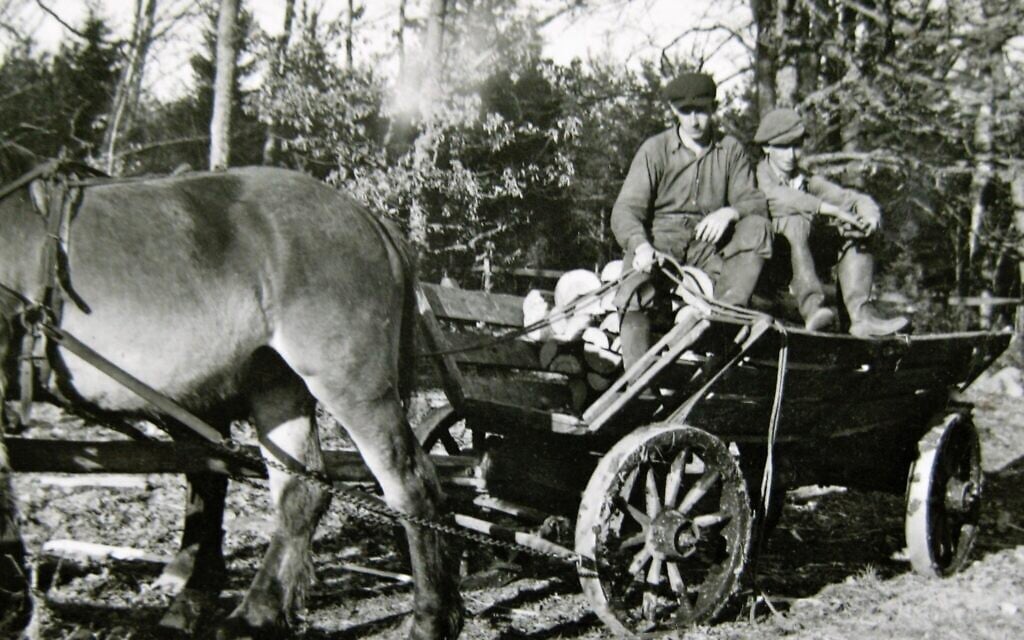 Otto Ullmann working in the woods together with unknown man, Pjätteryd, Småland. (Elisabeth Åsbrink)