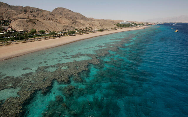 A coral beach in the Red Sea, Eilat, May 29, 2009. (Anna Kaplan/Flash90)