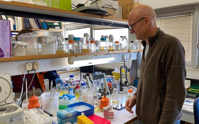 Prof. Isaiah (Shy) Arkin in his lab at the Hebrew University, March 29, 2020 (ToI staff)