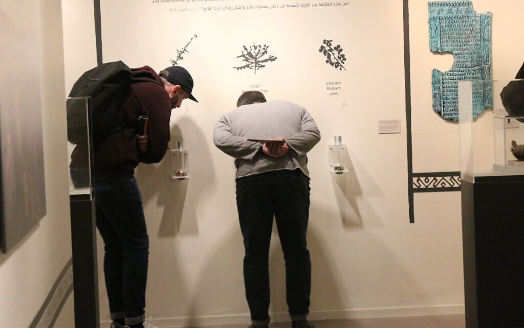 Visitors smell myrrh, frankincense and balsam on display at the Bible Lands Museum. (Shmuel Bar-Am)