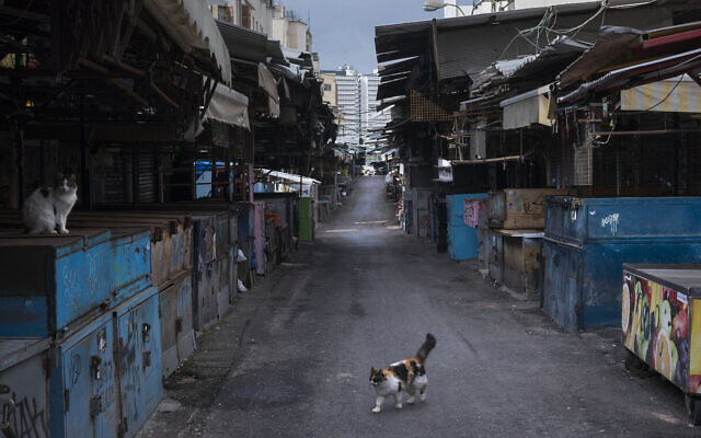 In this March 28, 2020, photo, a cat walks in a closed food market during lockdown following government measures to help stop the spread of the coronavirus in Tel Aviv, Israel. (AP Photo/Oded Balilty)
